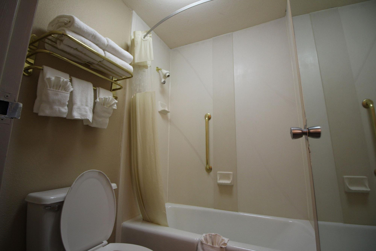 Bathroom 4, Magnuson Grand Hotel and Conference Center Tyler, Smith