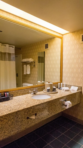 Bathroom 5, Sam S Town Tunica, Tunica