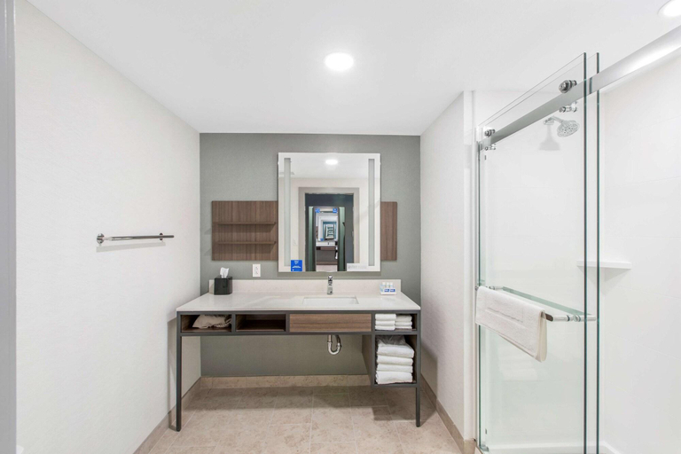 Bathroom 4, Hilton Garden Inn Harlingen Convention Center, Cameron
