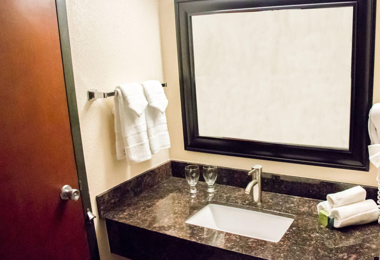 Bathroom 5, Grand Williston Hotel And Conference Center, Williams