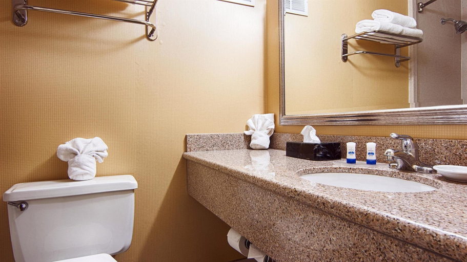 Bathroom, Quality Inn East Syracuse - Carrier Circle, Onondaga