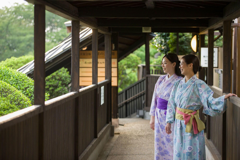 Public Area 3, Mikasa Ryokan, Nara