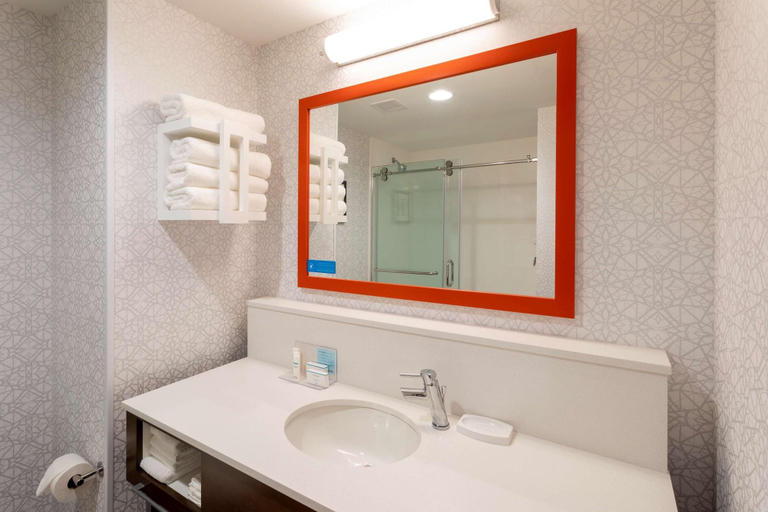 Bathroom 4, Hampton Inn Eden Prairie Minneapolis, Hennepin