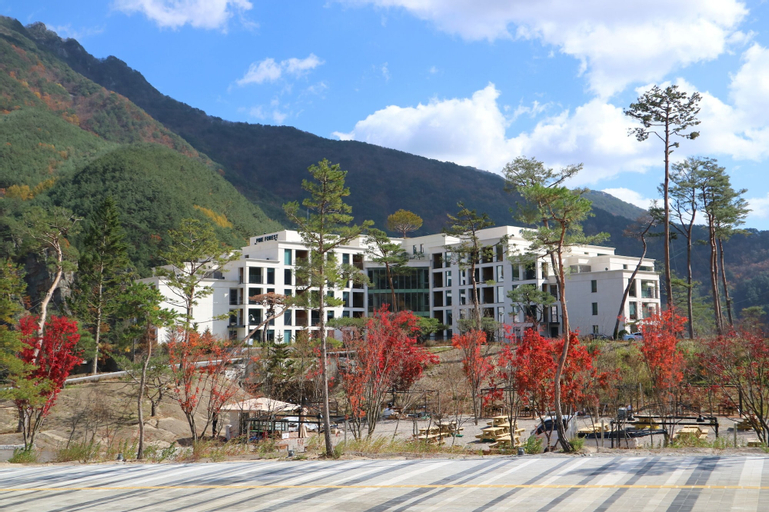 PINE FOREST, Jeongseon