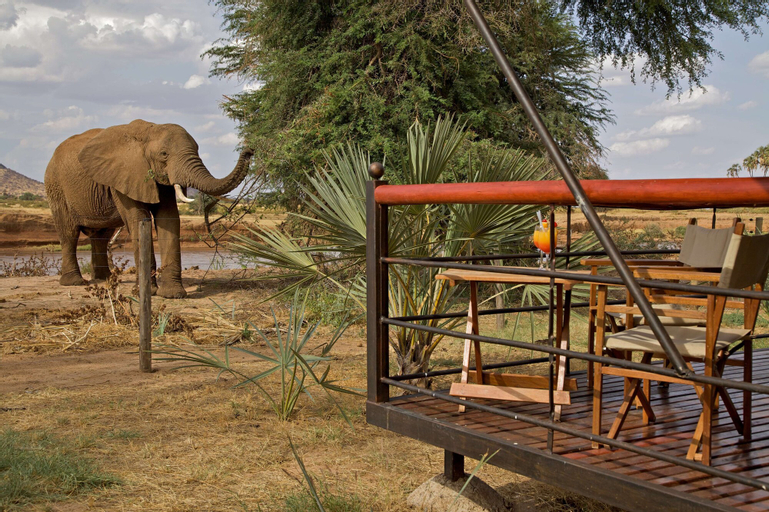 Ashnil Samburu Camp, Isiolo North