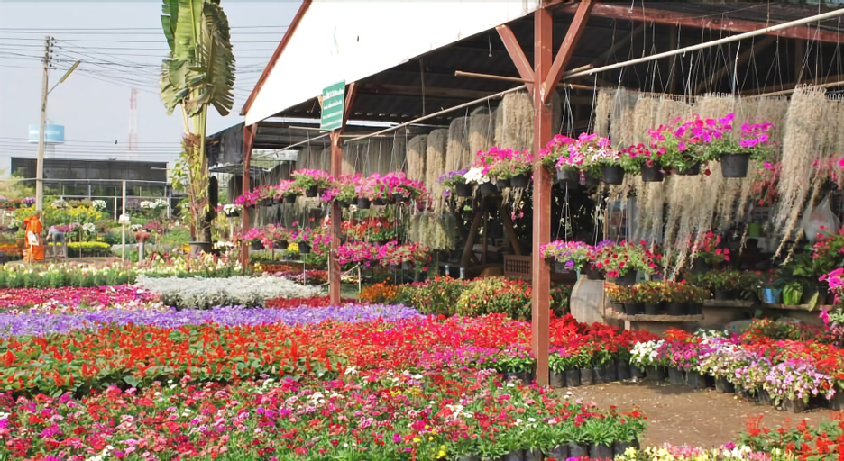 Napatra Hotel, Muang Chiang Mai