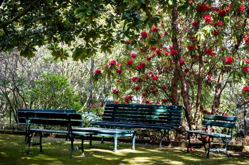 Quinta de Mouraes Casa dos Rododendros, Vila Nova de Gaia