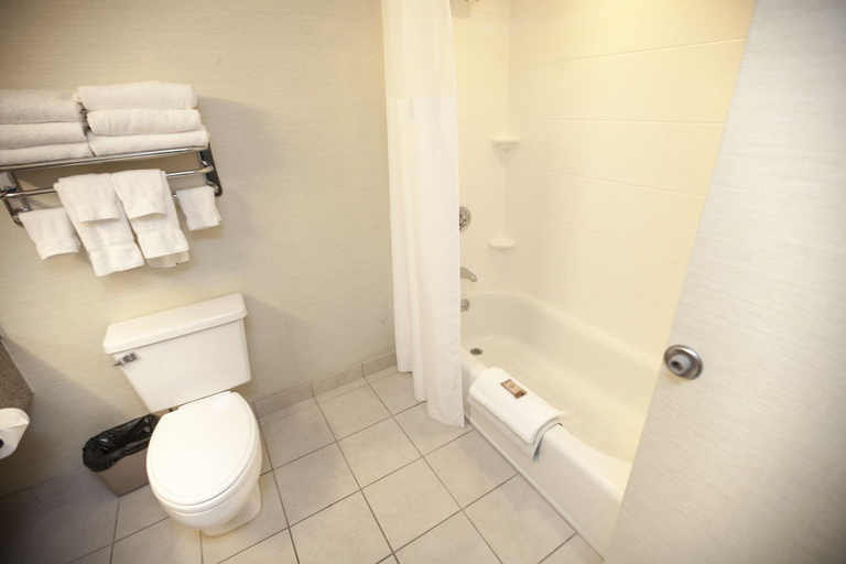 Bathroom, Great Wolf Lodge Boston/Fitchburg, Worcester