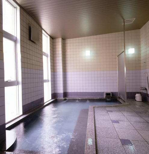 Public Area 2, Hotel Daisen Shirogane, Daisen