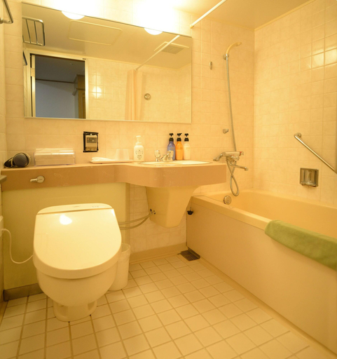 Bathroom 4, Miyajima Morinoyado Inn, Hatsukaichi