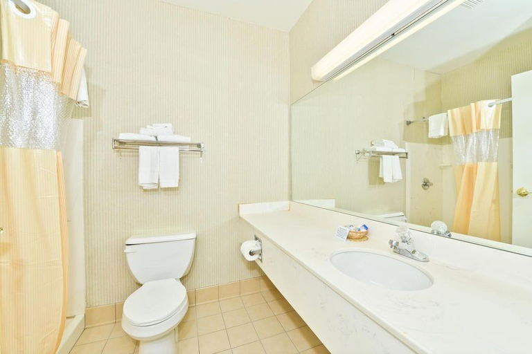 Bathroom 4, FairBridge Inn & Suites Marion, Grant