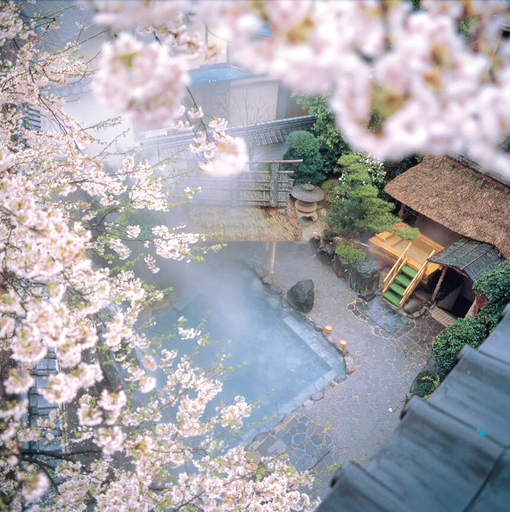 Asanoya, Shin'onsen