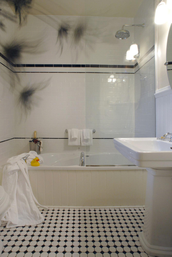 Bathroom 4, The Charles Hotel, Lake Ontario