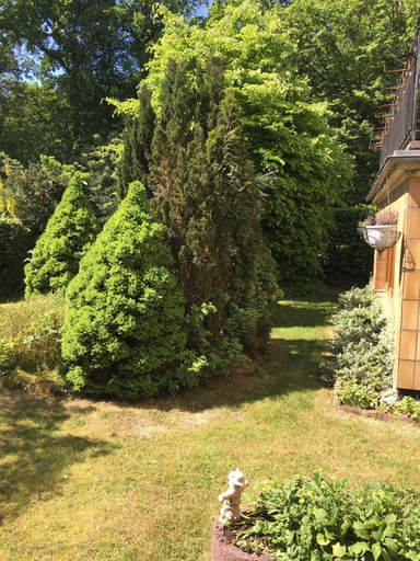Exterior & Views 2, Elisabetha, Region Hannover