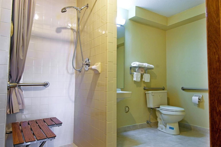 Bathroom 4, Americas Best Value Inn Florence Cincinnati, Boone