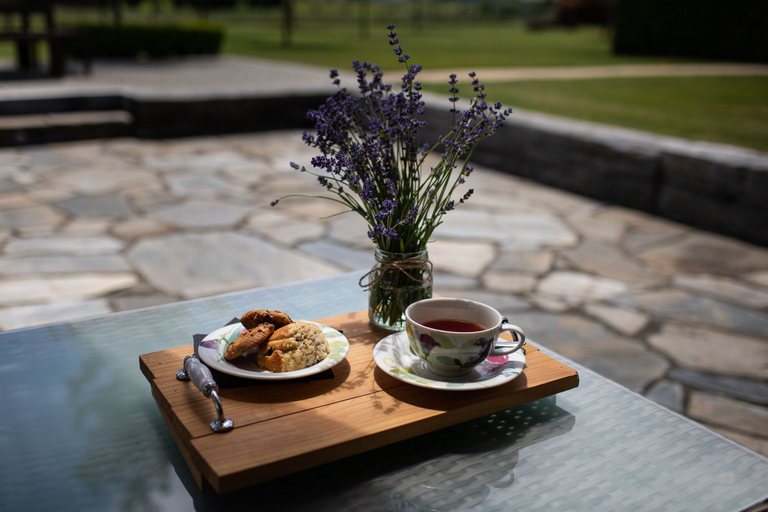 Food & Drinks 5, Maple Lodge, Queenstown-Lakes