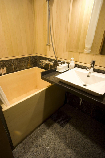 Bathroom, Tokachigawa Onsen Daiichi, Makubetsu