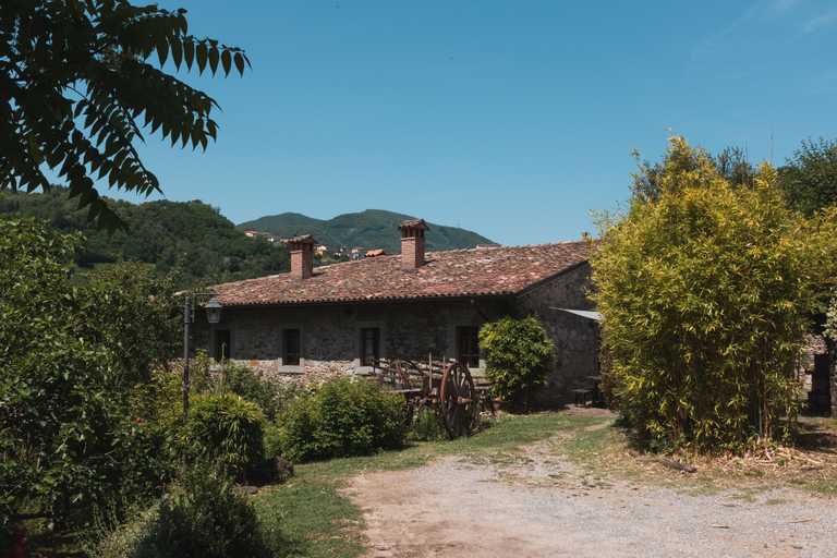 Exterior & Views 2, Borgo del Sole Agriturismo, Lucca