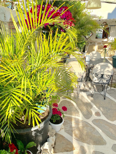 Exterior & Views 2, Artunc Hotel Bodrum, Bodrum