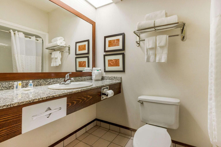 Bathroom 4, Comfort Suites Summerville - Charleston, Berkeley
