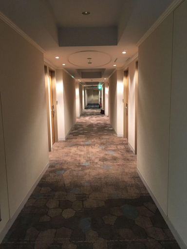 Public Area 4, Hotel Nikko Kumamoto, Kumamoto
