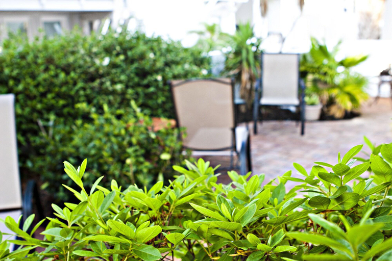 Exterior & Views 2, Desoto Beach Garden Suites, Chatham