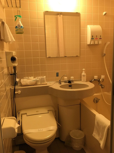 Bathroom 4, Otaru Furukawa Hotel, Otaru