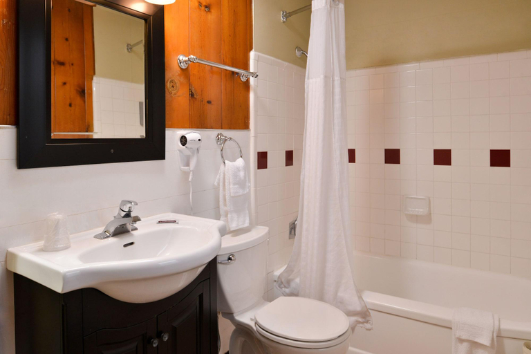 Bathroom 4, Courtesy Inn, Lane