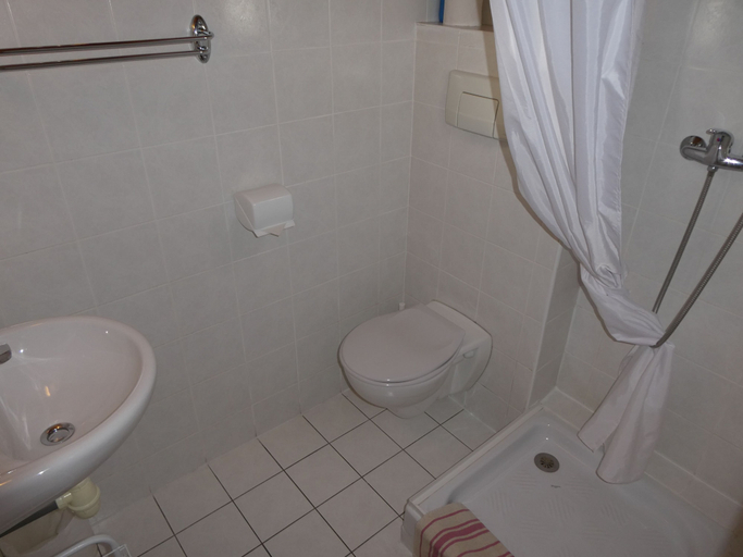 Bathroom 4, Central Hostel Châtel, Haute-Savoie