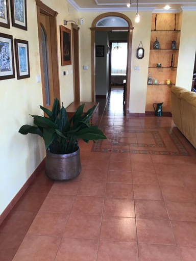 Public Area 2, Complexo Alameda, Lugo