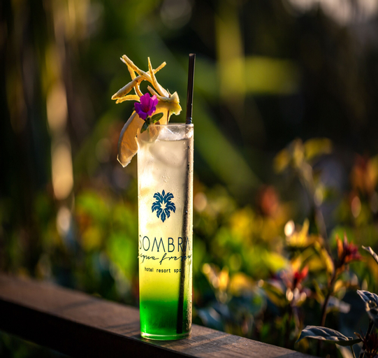 Food & Drinks 13