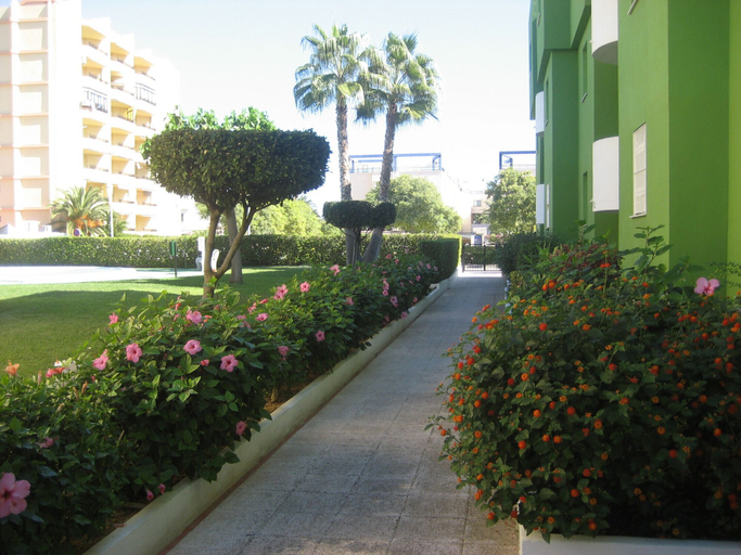 Exterior & Views 2, Juncos 26, Valencia