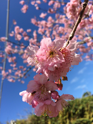 Others 5, Walk Cloud B&B, Chiayi County