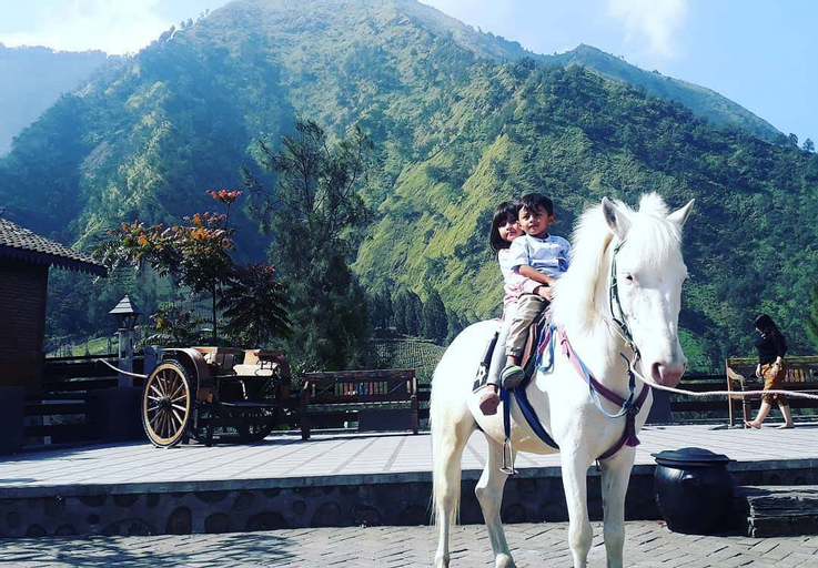 Bawangan Bromo Hotel & Resto, Probolinggo