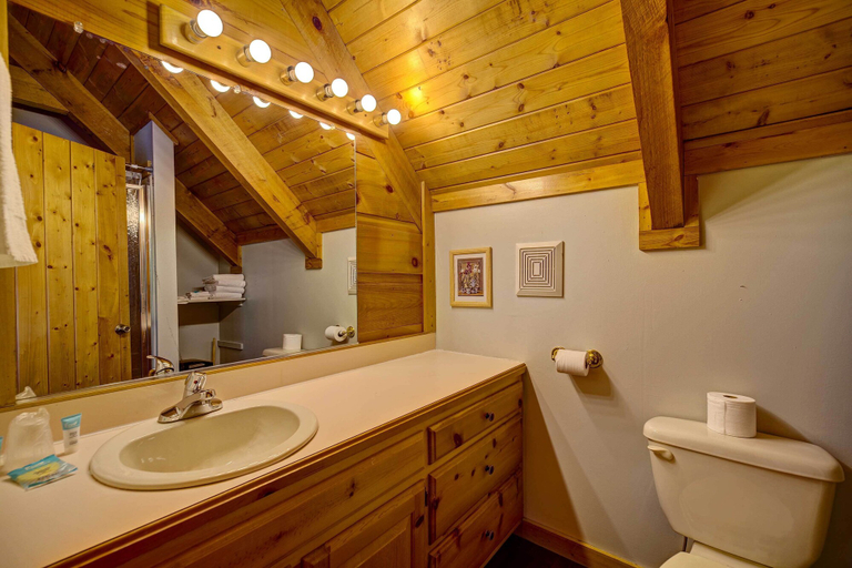 Bathroom 3, Tennessee Charm, Sevier