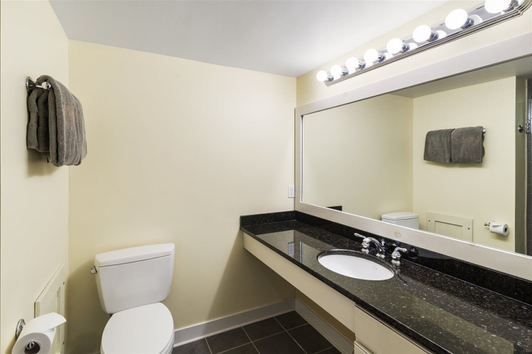 Bathroom 2, 622a Topnotch, Lamoille
