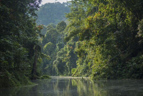 Belum Adventure Camp, Hulu Perak
