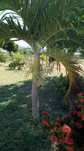Treasure Bay Guesthouse,