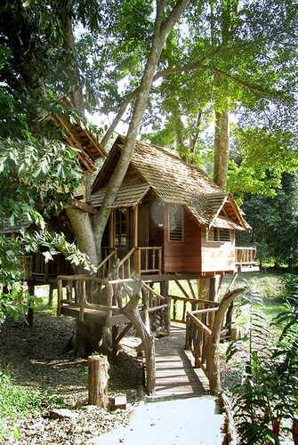 Rabeang Pasak Treehouse Resort, Doi Saket