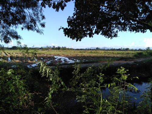 Pimprajan Homestay, K. Doi Lo