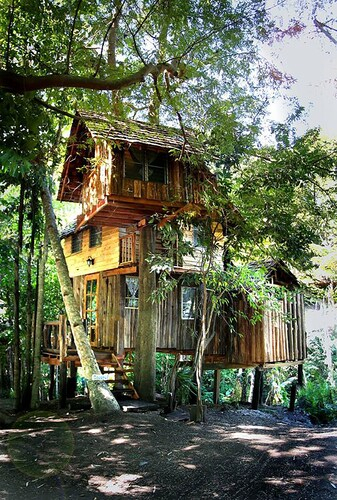 Rabeang Pasak Treehouse Resort, Doi Saket