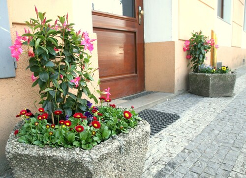 Leon Hotel, Praha 7