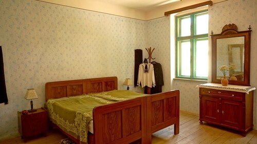 House With 2 Bedrooms In Richis, With Enclosed Garden, Biertan