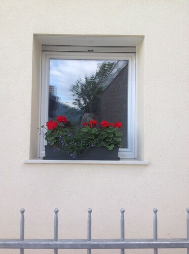 B&B dei Minatori, Trento