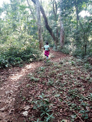 Philo Leisure Gardens, Bujumba