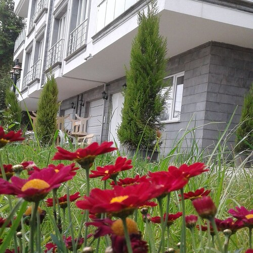 Holiday Villas, Merkez