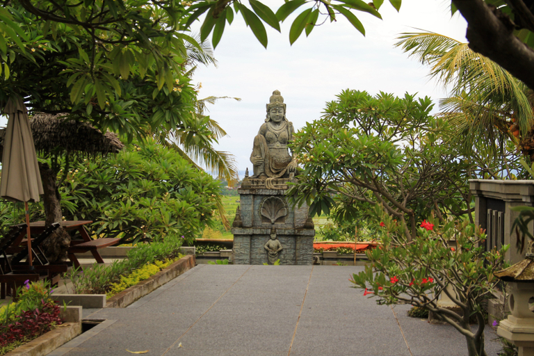 Exterior & Views 2, Bali Nibbana Resort, Buleleng