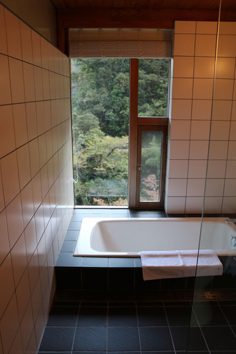 Bathroom 4, Auberge Tosayama, Kōchi
