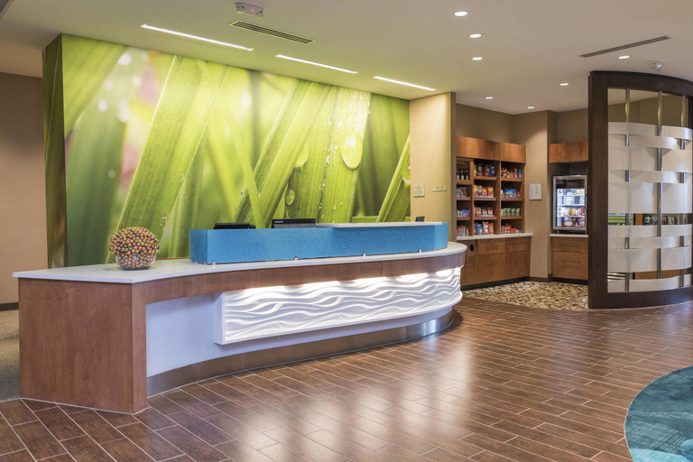 Public Area 3, SpringHill Suites Chicago Southeast/Munster IN, Lake