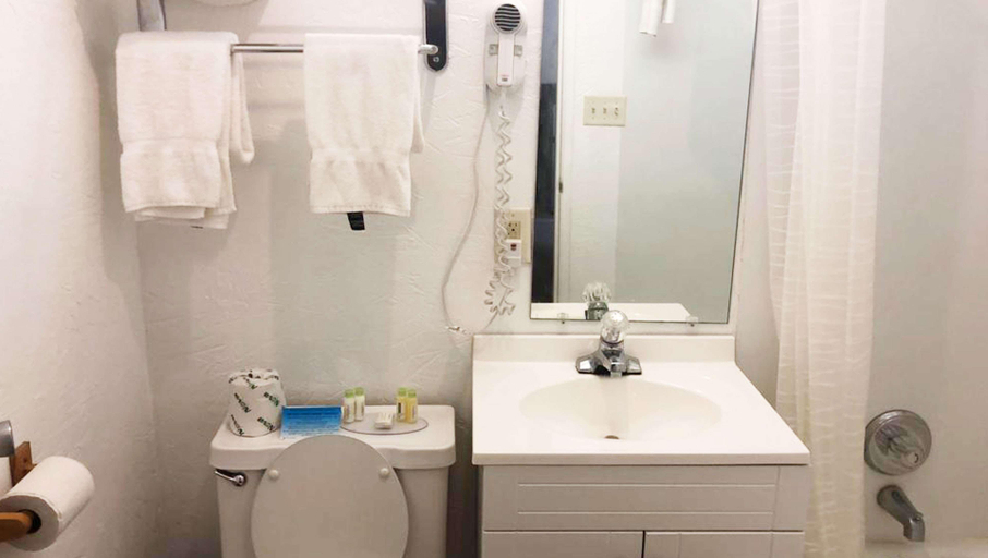 Bathroom 4, M Star Hotel Mansfield, Richland